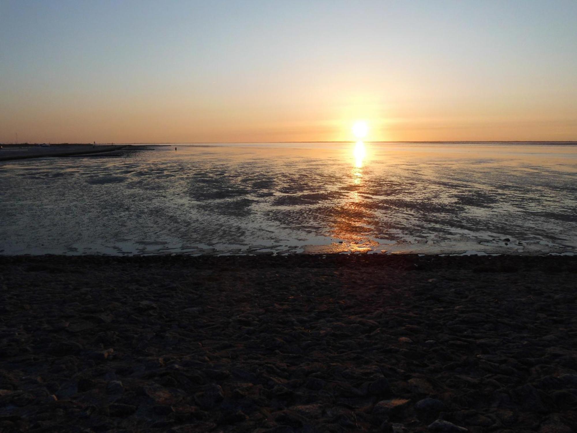Moewennest Villa Neuharlingersiel Bagian luar foto