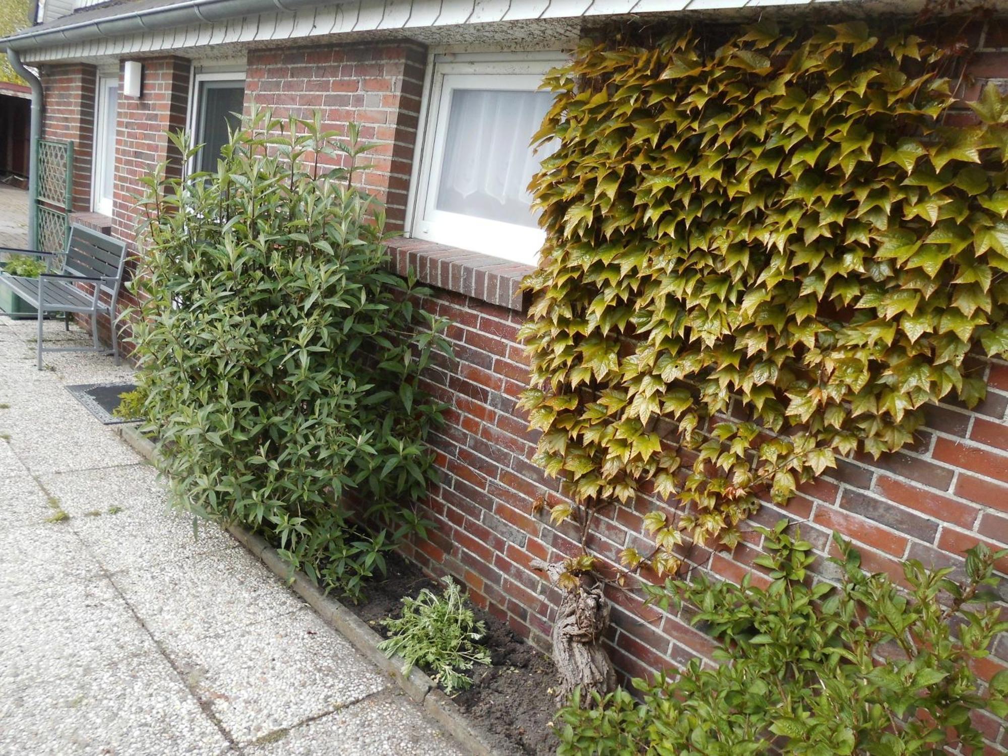 Moewennest Villa Neuharlingersiel Bagian luar foto